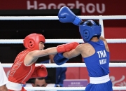 米兰体育-包含罗马尼亚拳击选手拼尽全力，勇夺金牌的词条