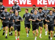 米兰百家乐-德国队在国际锦标赛中表现超群