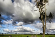 milan.com-中超魔幻夜！拜仁鏖战英格兰，更衣室惊现神秘战术板