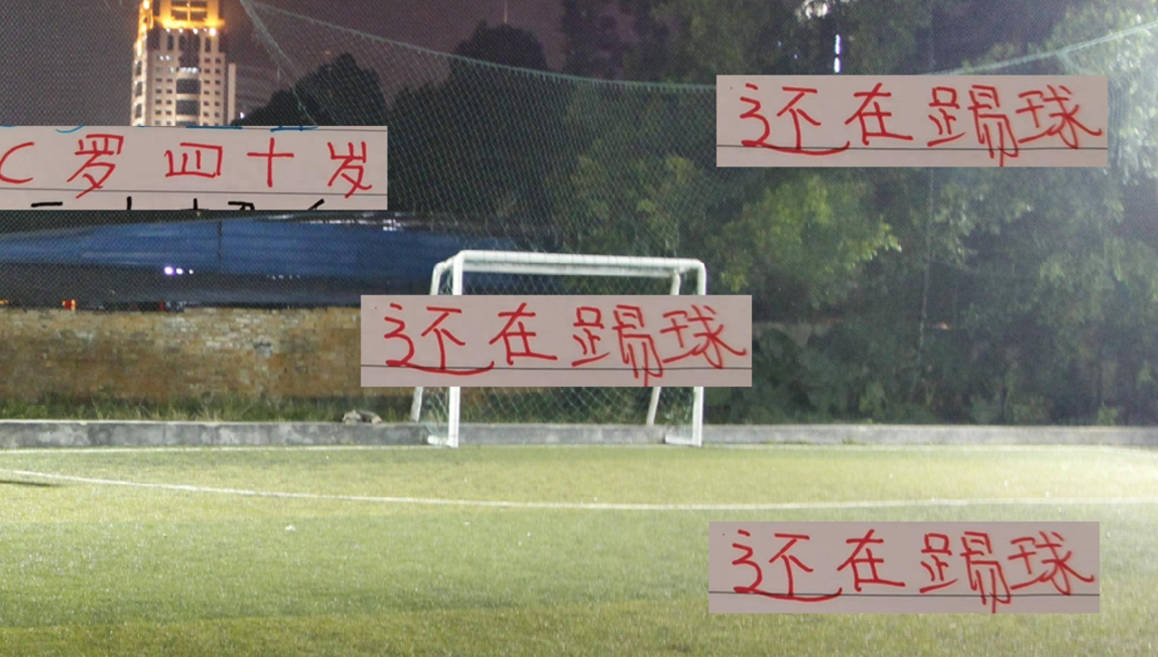 包含葡萄牙队伤愈复出，横扫法国继续前进的词条